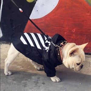 off white dog jacket